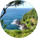 Cathie Burkland profile picture